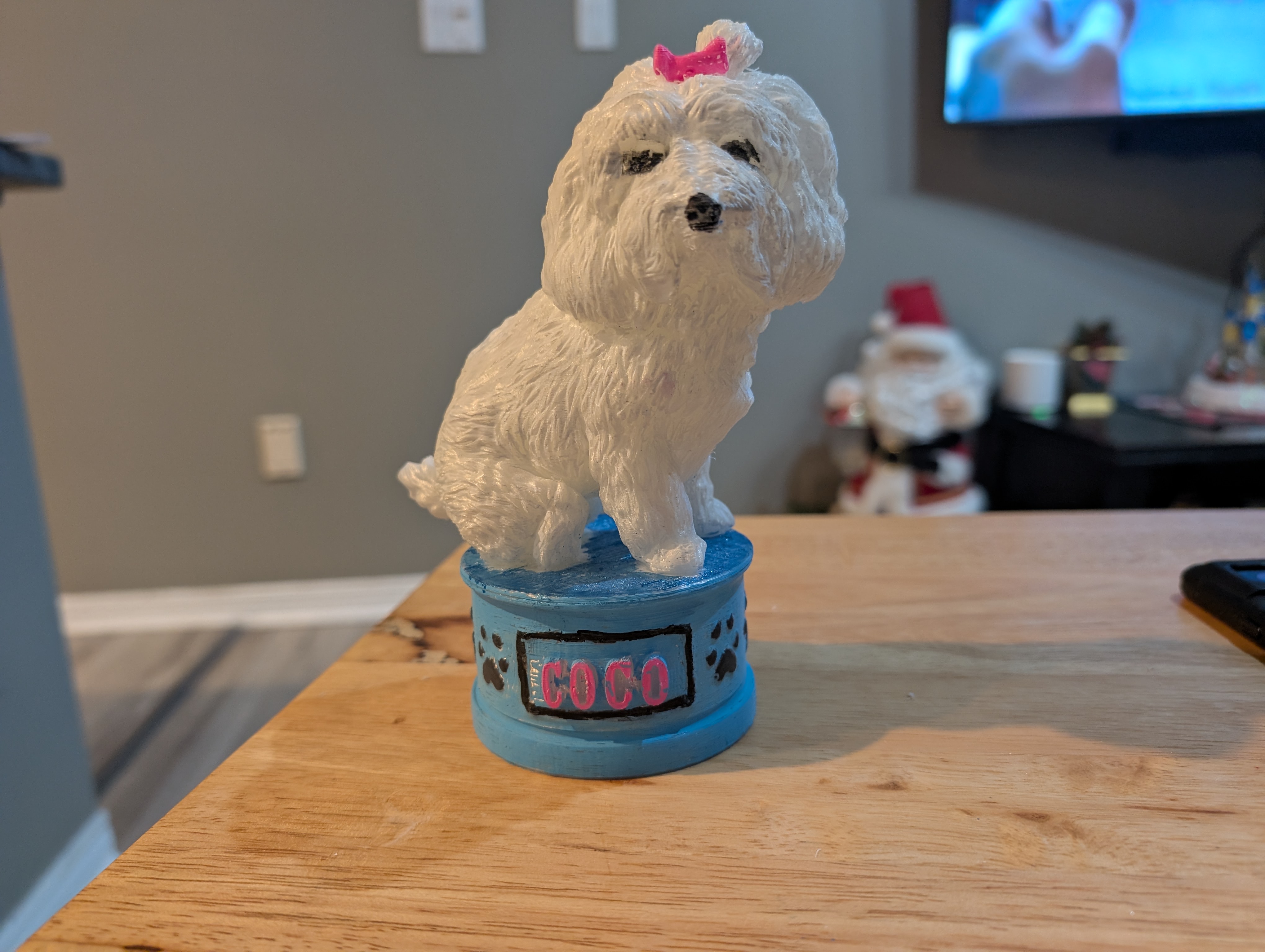 Custom Pet Model (Coco)